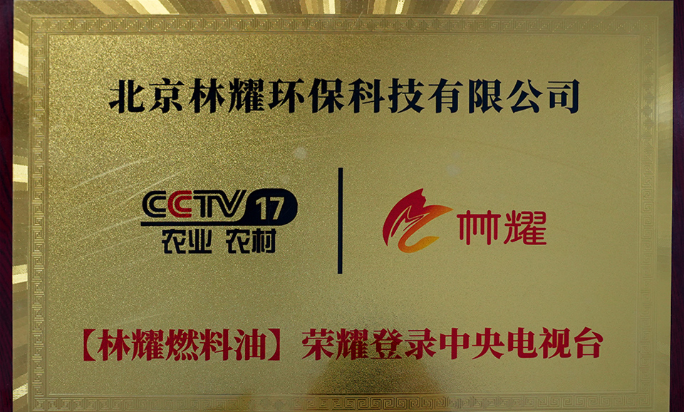 荣耀登录中央电视台